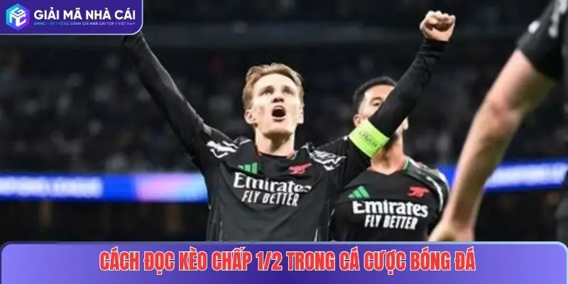Cách đọc kèo chấp 1/2 trong cá cược bóng đá