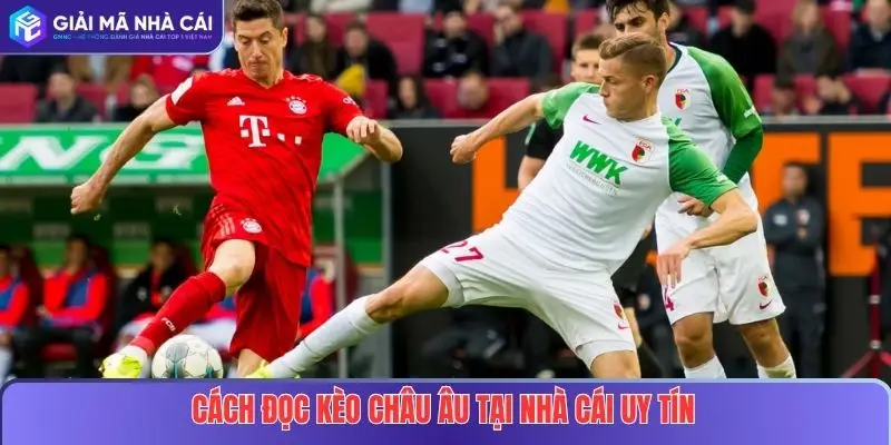 Kèo Châu Âu Là Gì? Hướng Dẫn Cách Đọc Và Kinh Nghiệm Soi Kèo Hiệu Quả 3 Cách đọc kèo châu Âu tại nhà cái uy tín