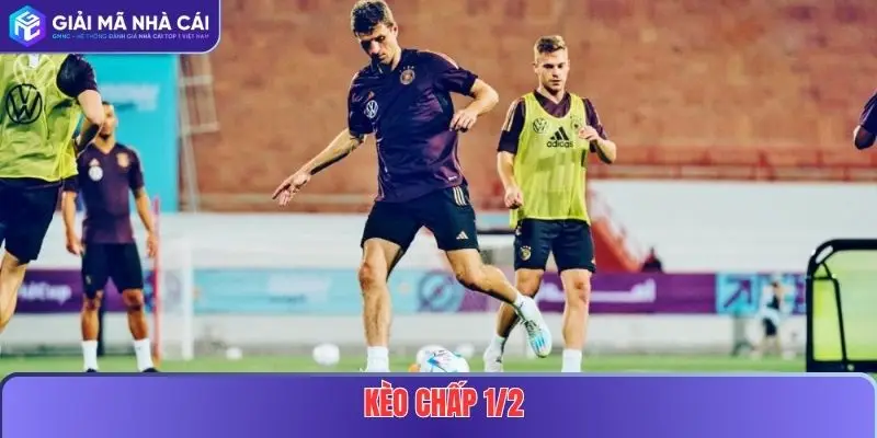 Kèo Chấp 1/2 Tại Nhà Cái Uy Tín - Cách Đọc Và Kinh Nghiệm Soi Kèo 5 Kèo Chấp 1/2