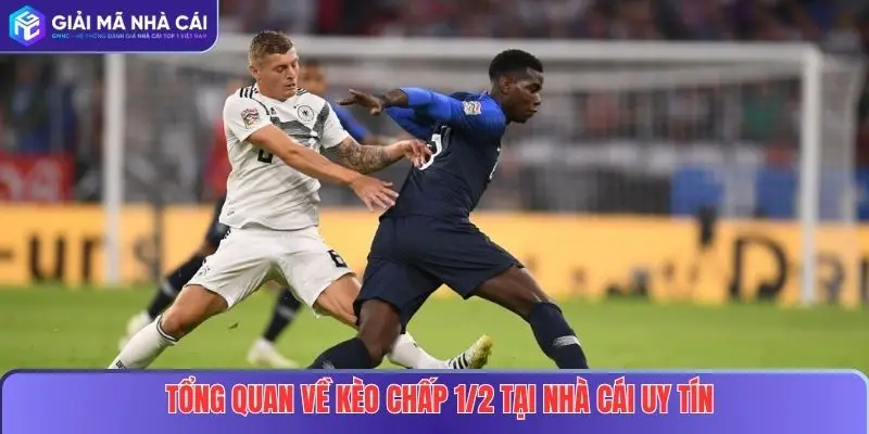 Tổng quan về kèo chấp 1/2 tại nhà cái uy tín