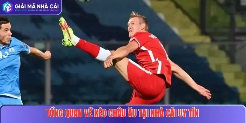 Kèo Châu Âu Là Gì? Hướng Dẫn Cách Đọc Và Kinh Nghiệm Soi Kèo Hiệu Quả 2 Tổng quan về kèo châu Âu tại nhà cái uy tín